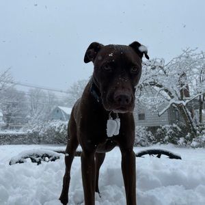 Meet your Posher, Brian